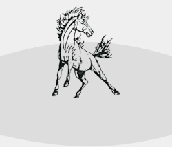 mascot